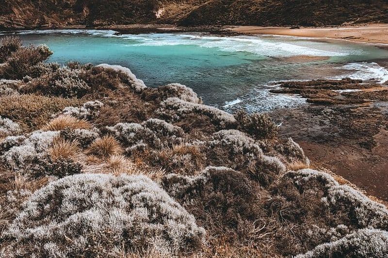 Randonnée privée dans la péninsule de Mornington et visite des sources chaudes