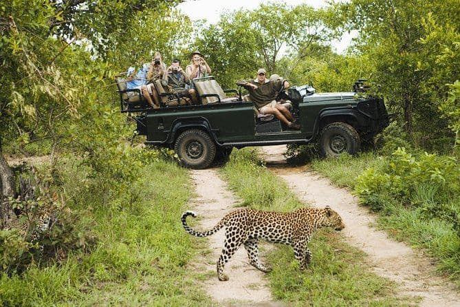 Durban: Big 5 Luxury Safari dans une réserve de chasse primée - Zeiss Jumelles