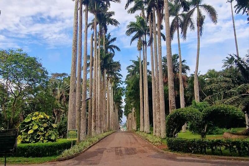 Jardins botaniques d'Aburi, chutes de Boti, rocher des parapluies et ferme de cacao