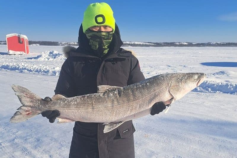 Billet Ultime pêche sur glace avec Jig Fishing Filet Pull and Lunch