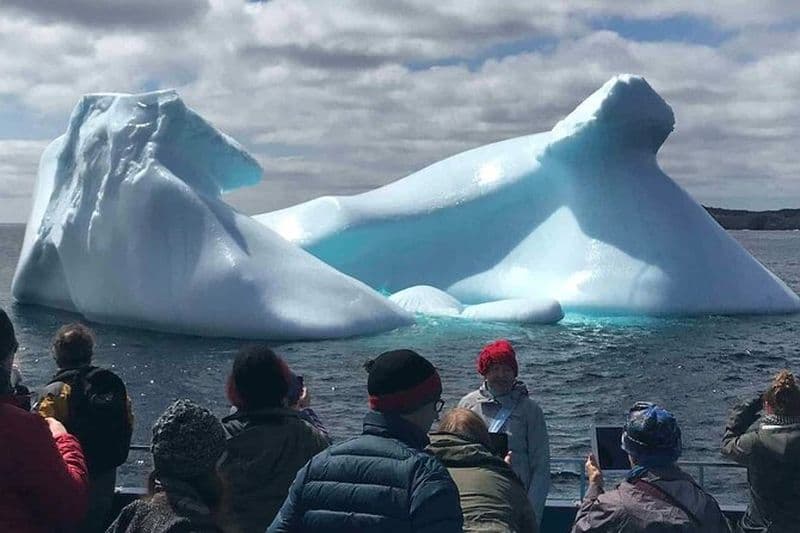 Billet Oiseaux et Berges à Terre-Neuve