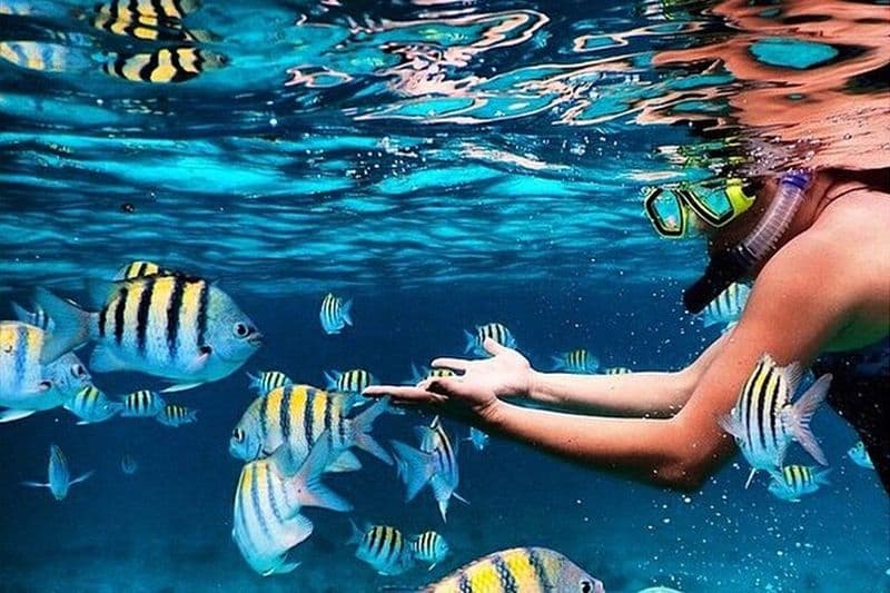 Famille Fun-Snorkeling avec arrêt déjeuner au départ de Montego Bay