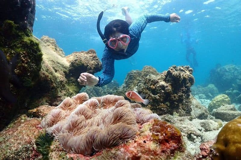 Billet Expérience de plongée en apnée d'une journée complète au départ de Bangkok