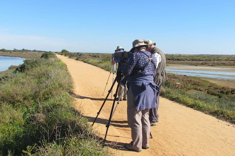 Demi-journée d'observation des oiseaux aux alentours de Tavira