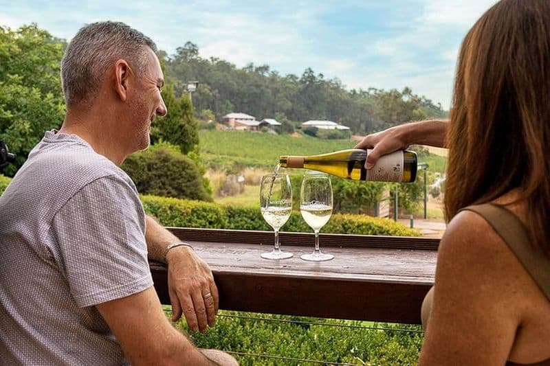 Visite privée des vins de Perth: demi-journée dans la vallée de Bickley