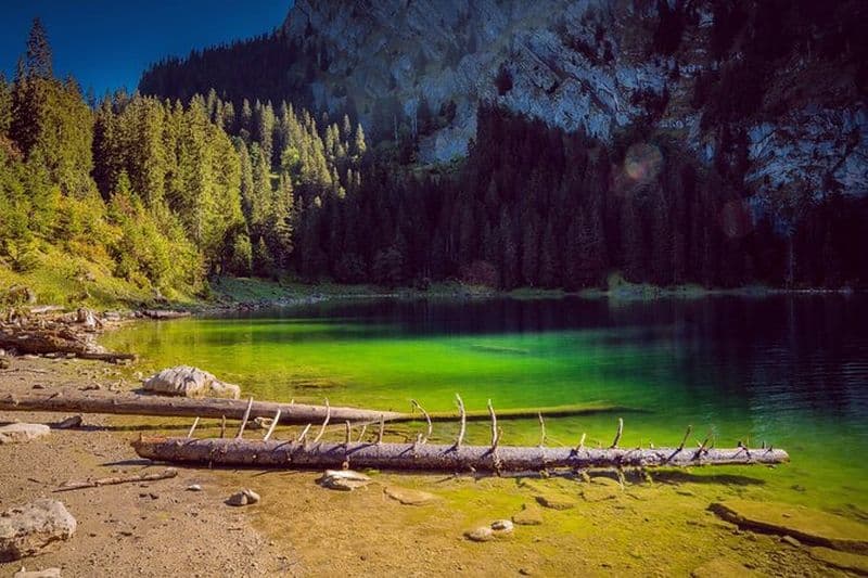 Raclette au bord du lac Hinterburgseeli et visite à pied depuis Axalp