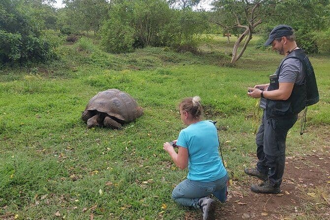 Billet Transfert aéroport-hôtel aux Galapagos Santa Cruz avec visite des tortues géantes