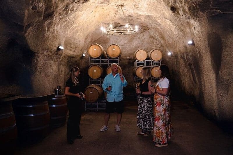 Queenstown Classic Wine Tour: 3 Visites de caves, Visite des grottes et fromages