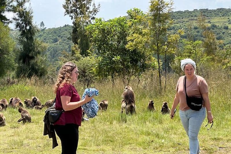 Excursion d'une journée Vieux pont, Monastère, Cascades Faune, Oiseaux,