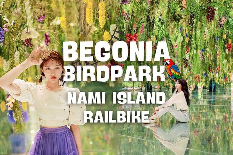 Billet Visite de l'île Nami et du parc à oiseaux Begonia au départ de Séoul (opt Railbike)