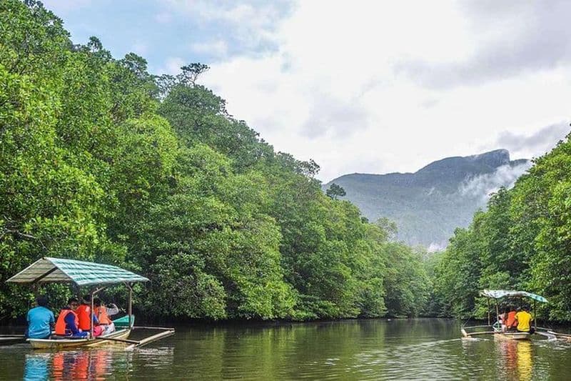 Aventure 3 en 1: rivière souterraine, balade en tyrolienne et visite de la forêt de mangrove