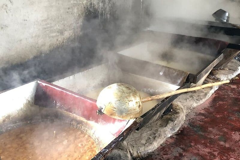 Excursion privée en jeep dans les environs de San Agustín