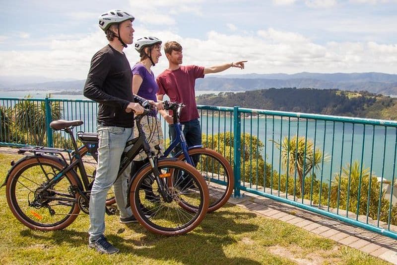 Visite guidée de Wellington en vélo électrique