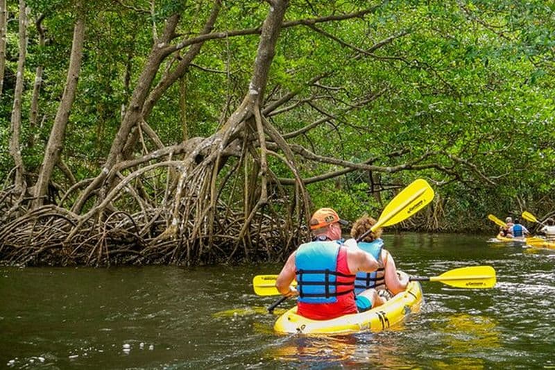 Billet Visite privée de la nature en kayak du parc national de Los Haitises