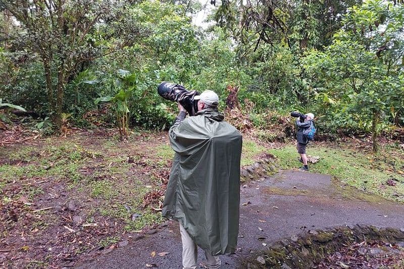 Arenal Oiseautage et photographie d'une demi-journée