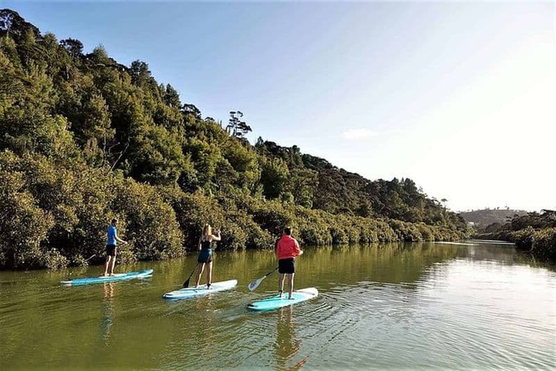 Excursion de 2 heures en stand-up paddle à la cascade de Lucas Creek