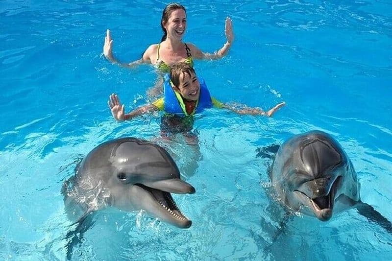 Rencontre avec les dauphins, séance de photographie et transfert en douceur-Hurghada