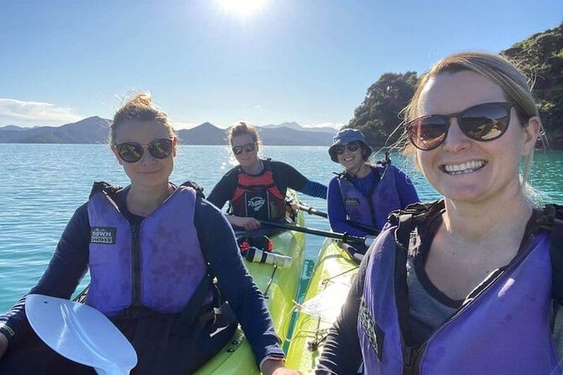 Visite guidée d'une journée complète en kayak de mer au départ de Picton