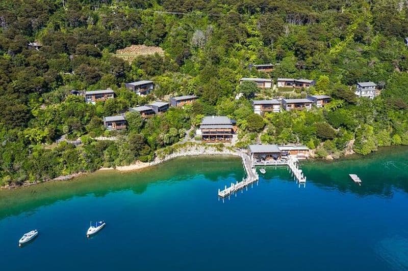 Tour de la baie de Many Coves en hélicoptère avec déjeuner de 3 plats de Wellington
