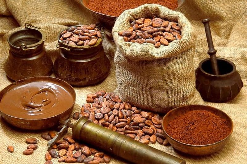 Expérience de la cérémonie privée du chocolat Maya à Cancun
