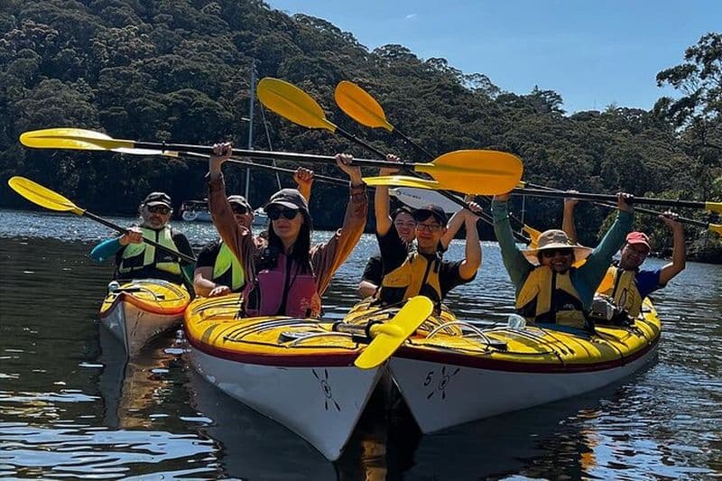 Visite éco de Sydney en kayak de mer du port moyen (entièrement guidée)