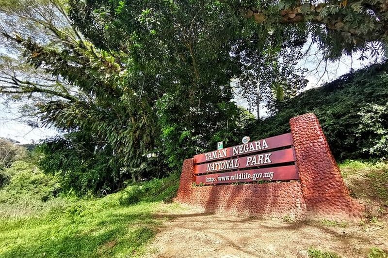 Randonnée partagée d'une journée complète à Taman Negara