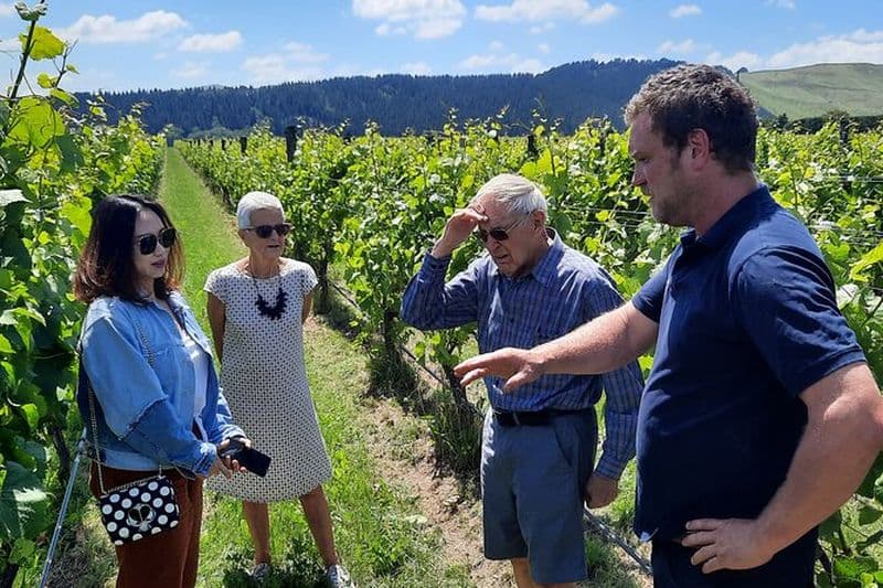 Billet Visite d'une journée de Martinborough Winery and Foodie avec déjeuner de vignoble