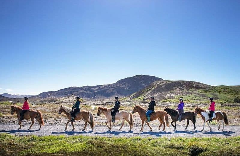 Excursion d'équitation en Islande au départ de Reykjavik