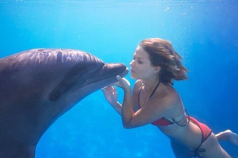 La seule rencontre avec les dauphins dans un espace naturel à Cabo, avec prise en charge facultative !