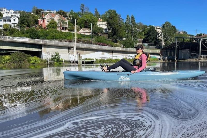 Billet Visite guidée en kayak sur le front de mer pittoresque de Launceston sur des kayaks Hobie à pied