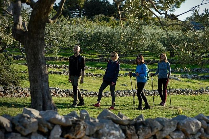 Randonnée à Vidova gora et visite du musée de l'huile d'olive
