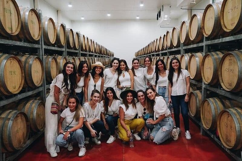 Billet Visite d'une journée complète au vignoble et dégustation premium à San Miguel