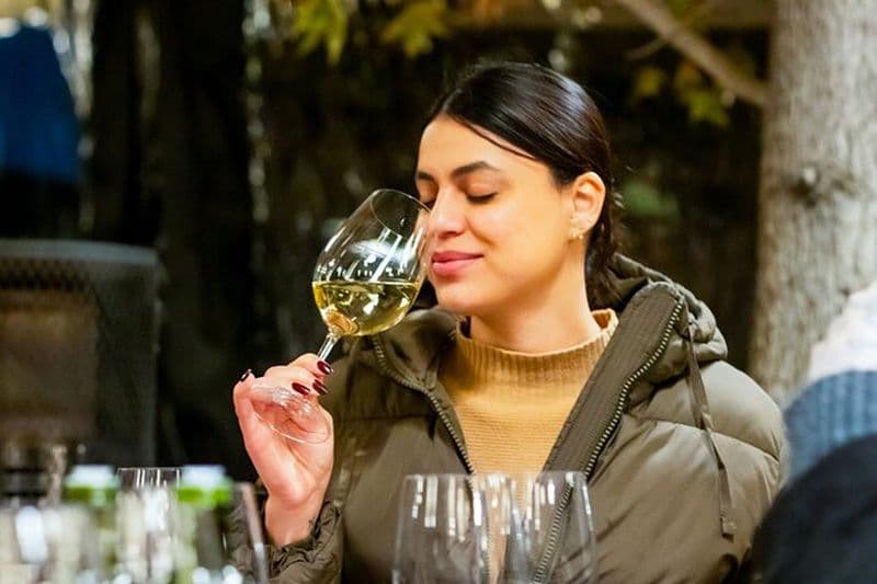 Vignoble Concha y Toro : Visite Premium au Wine Center