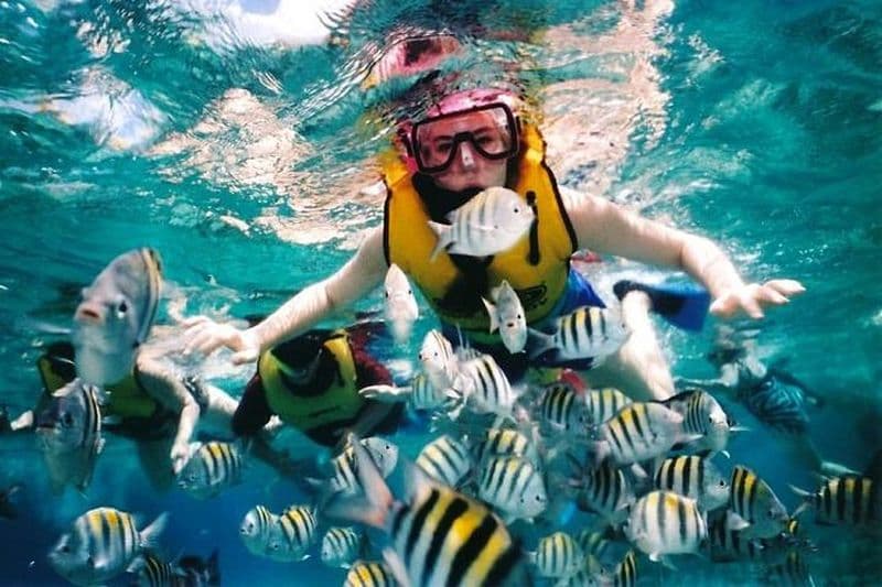 Visite privée: plongée avec tuba et randonnée au sommet de l'île de Tioman (Sribuat) au départ de Singapour