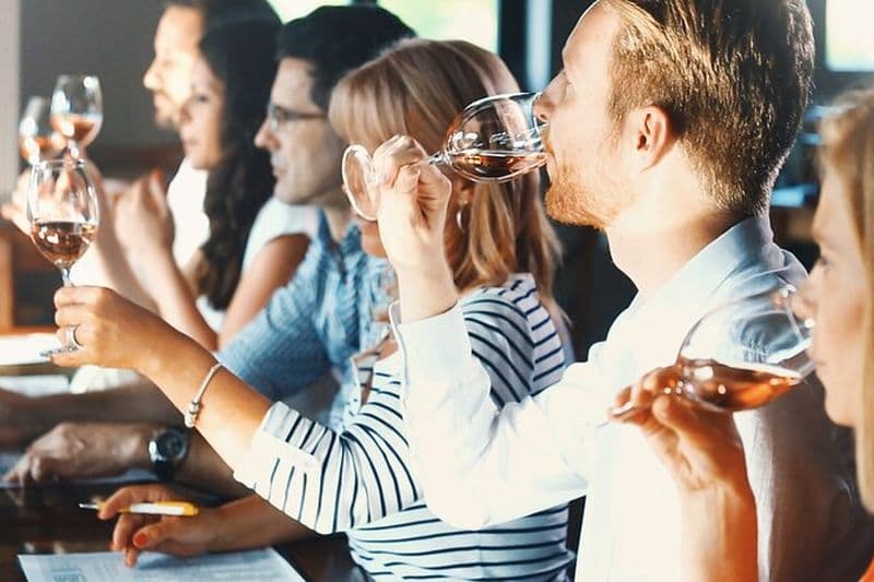 Dégustation de vins d'une journée à Auckland avec déjeuner à 3 plats dans le vignoble