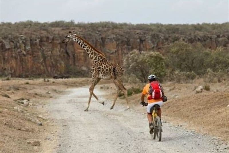 Billet Excursion d'une journée au parc Hell's Gate et promenade à cheval à Sanctuary Farm