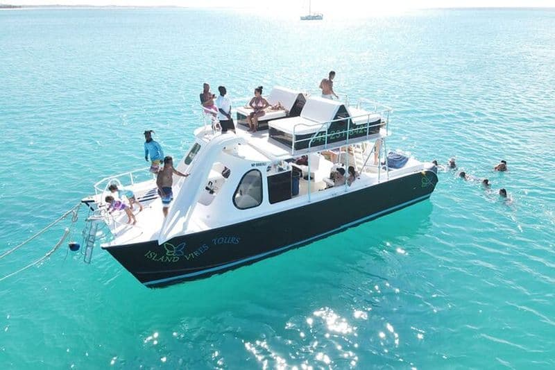 Croisière avec plongée avec tuba d'une demi-journée à Grace Bay au départ de Providenciales