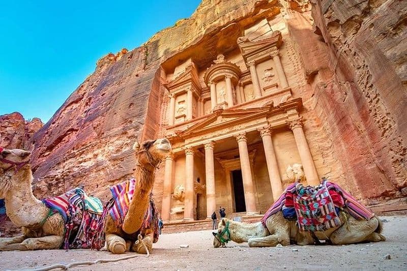 Visite guidée privée de 3 heures à Petra avec prise en charge à l'hôtel.