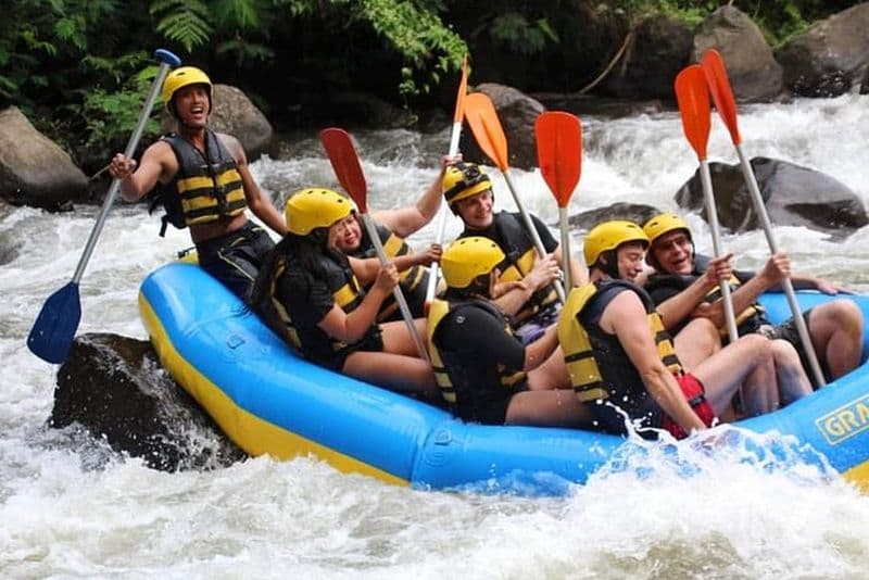 Rafting en eaux vives avec visite d'une plantation et dégustation de café à Bali