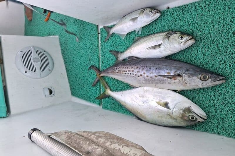 Excursion de pêche et sortie de pêche à Isla Grande