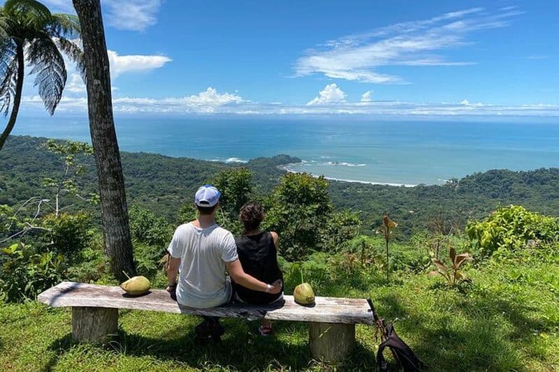 Billet Visite spéciale des cascades privées et du safari dans la jungle