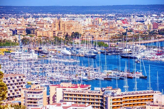 Billet Chasse au trésor et visite autoguidées à Palma de Majorque