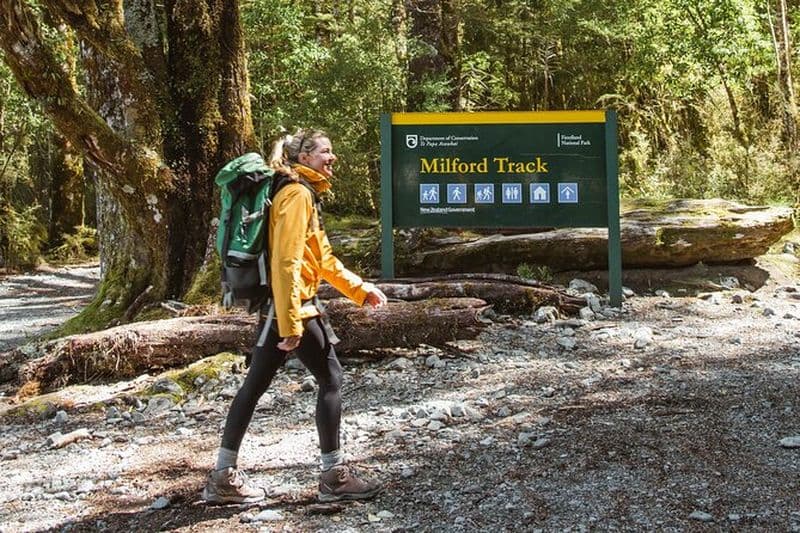 Excursion d'une journée sur la piste de Milford avec Lake Te Anau Water Taxi