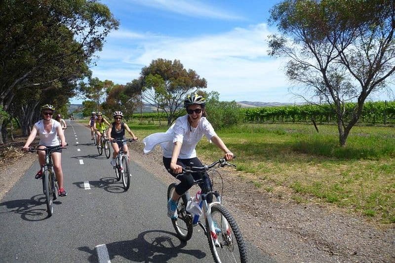 Tour des vignobles de McLaren Vale à vélo