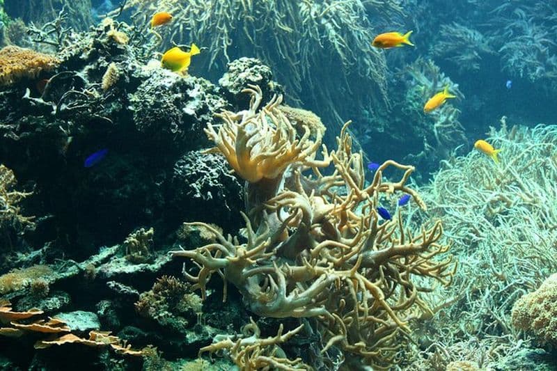 Transport privé flexible vers le zoo de Schönbrunn Vienne