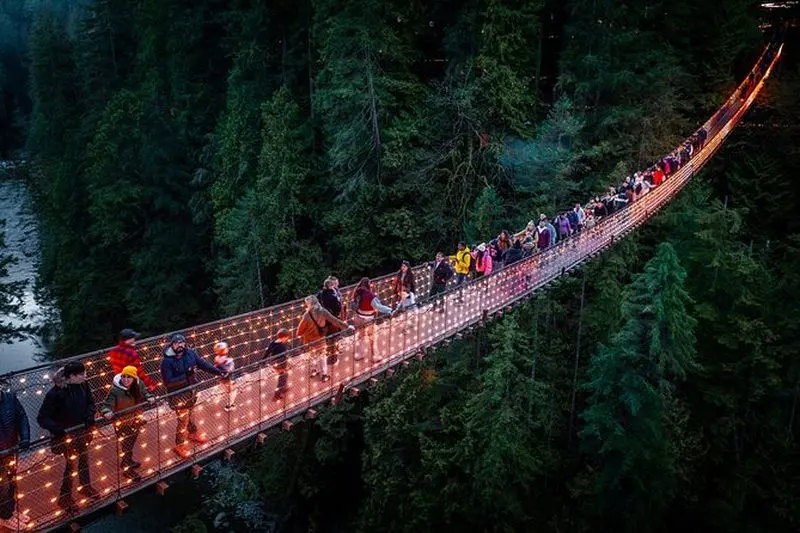 Capilano Suspension Bridge Canyon Lights & 4 Top highlights