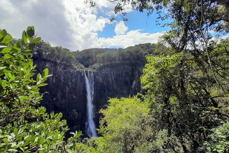 Excursion d'une journée à Port Macquarie à Ellenborough Falls et Comboyne Rock