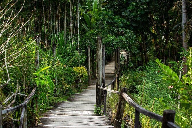 Visite privée : sources chaudes et aventure de randonnée dans le jardin des géants endormis