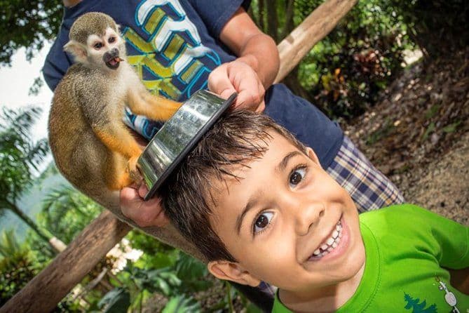 Billet Excursion-safari à Monkeyland et dans une plantation au départ de Punta Cana