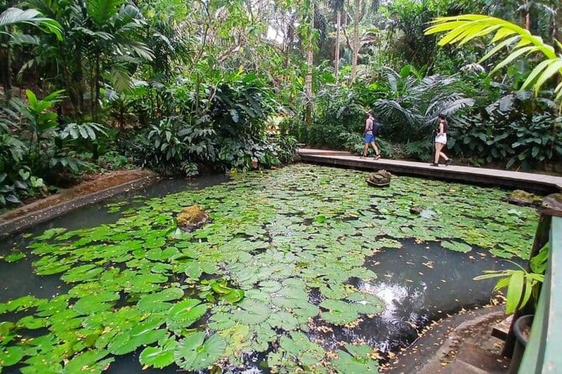 Visite du jardin des géants endormis avec piscine de boue et source thermale de Tifajek